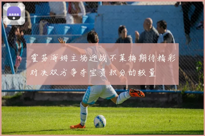 霍芬海姆主场迎战不莱梅期待精彩对决双方争夺宝贵积分的较量
