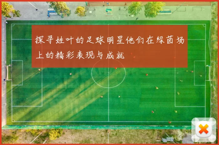 探寻姓叶的足球明星他们在绿茵场上的精彩表现与成就