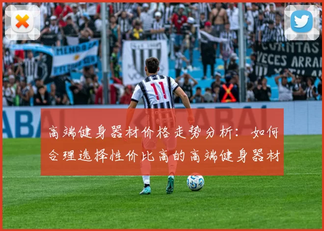 高端健身器材价格走势分析：如何合理选择性价比高的高端健身器材